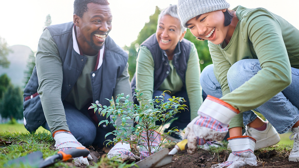 volunteers laughing and talking while planting trees